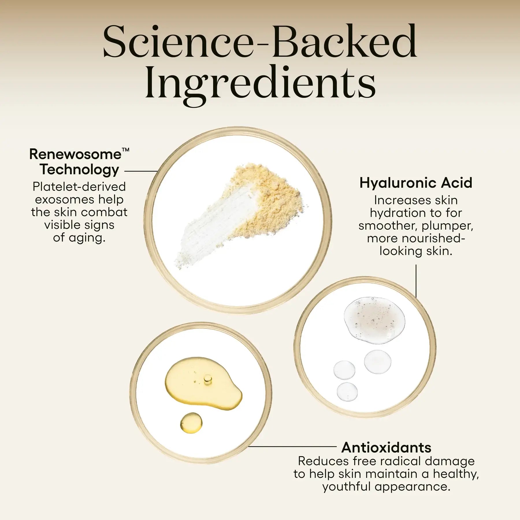 Plated Intense Serum (Refill)